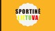 Sportinė Lietuva projektas 
