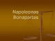 Napoleonas skaidrės