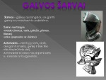 Riterio šarvai 2