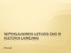 Nepriklausomos Lietuvos ūkio ir kultūros laimėjimai