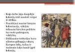 Jav susikūrimas 17a. Amerikos atradimas skaidrės 3