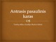 Antrasis pasaulinis karas: priežastys ir pasekmės 