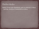 Napoleono Bonaparto epocha projektas 2