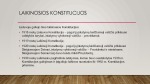 Lietuvos konstitucijų raida 2