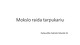 Mokslo raida tarpukariu 