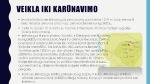 Mindaugas - Lietuvos karalius 3