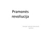 Pramonės revoliucija projektas