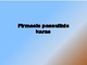 Pirmasis pasaulinis karas prezentacija