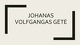 Johanas Volfgangas Gėtė: biografija ir kūrinys „Faustas“