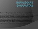 Napoleono Bonaparto biografija projektas