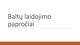 Baltų laidojimo papročiai