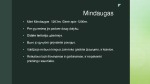 Kunigaikščiai: Gediminas ir Mindaugas 3