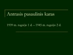 Antrasis pasaulinis karas: karo priežastys, eiga ir pasekmės 1