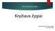 Kryžiaus žygiai: priežastys, padariniai ir reikšmė