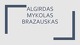 Algirdas Mykolas Brazauskas: biografija ir veikla