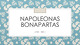 Napoleono valdymas