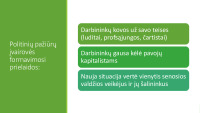 Politinės srovės projektas 2