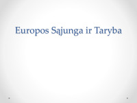 Europos Sąjunga ir Taryba 1