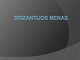 Brizantijos menas