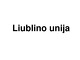 Liublino unija skaidrės ir testas