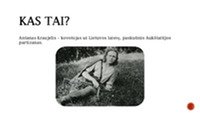 Partizanas Antanas Kraujelis 2
