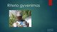 Skaidrės apie riterio gyvenimą
