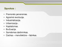 Skaidrės apie pramonės perversmo laikotarpį 3