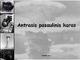 Antrasis pasaulinis karas