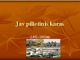 Jav pilietinis karas skaidrės