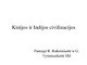 Indijos ir Kinijos civilizacijos skaidrės