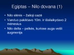 Egipto civilizacija pristatymas 3