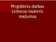 Tautinės mažumos skaidrės