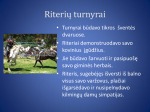Kasdieninio riterio gyvenimas 3