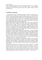 Viduramžių miestai 3