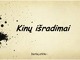 Kinų išradimai