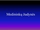 Medininkų žudynės