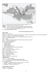 Bizantija Arabai Frankai 2