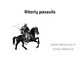Riterių pasaulis