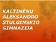 Gintaras baltijos auksas