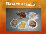 Gintaras baltijos auksas 3