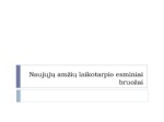 Naujųjų amžių laikotarpio esminiai bruožai 1