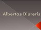 Albrechtas Diureris