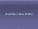 Amerikos Indėnų kultūra