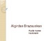 Algirdas Brazauskas