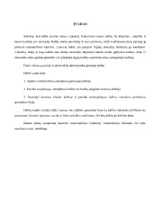 Svetimžodžiai lietuvių kalboje 3
