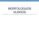 Morfologijos klaidos kalbos kultūros skaidrės
