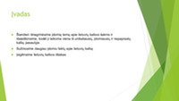 Lietuvių kalbos unikalumas skaidrės 2