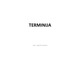 Terminija - terminų samprata