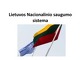 Lietuvos Nacionalinio saugumo sistema