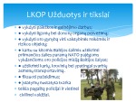 Lietuvos karinės oro pajėgos 3